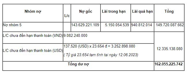Một công ty chuyên cung cấp đồ nhựa trên máy bay Vietnam Airlines, Bamboo Airways bị ngân hàng siết nợ hàng trăm tỷ đồng - Ảnh 1.
