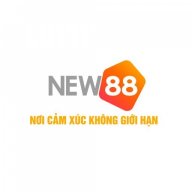 new882info2