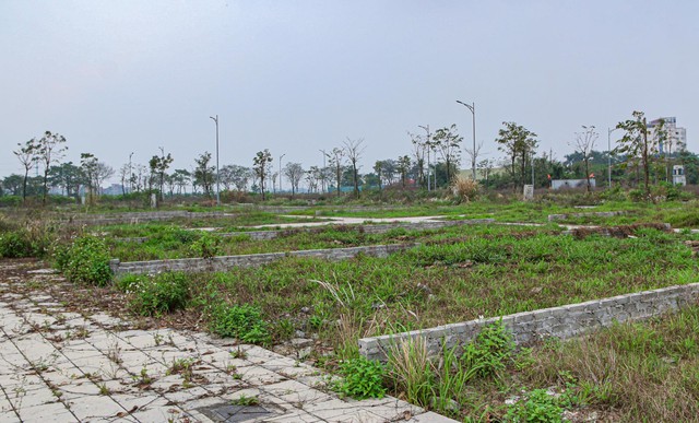 [Photo Essay] Đông Anh chuẩn bị lên quận, giá nhà đất vẫn im lìm - Ảnh 8.