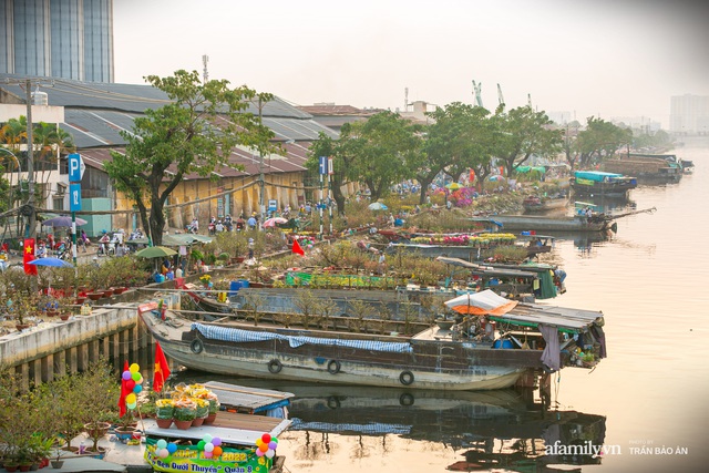 Đến hẹn hằng năm giữa Sài Gòn lại xuất hiện chợ hoa nổi, bà con miền Tây lặn lội đưa cây kiểng mong mang hương sắc Tết đến mọi nhà - Ảnh 3.