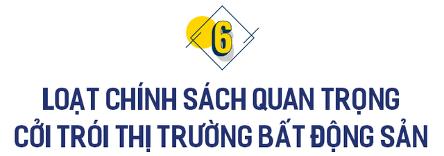 Bất động sản 2021: Năm của những kỷ lục sốt đất, đất đấu giá lập đỉnh cao bậc nhất thế giới - Ảnh 13.