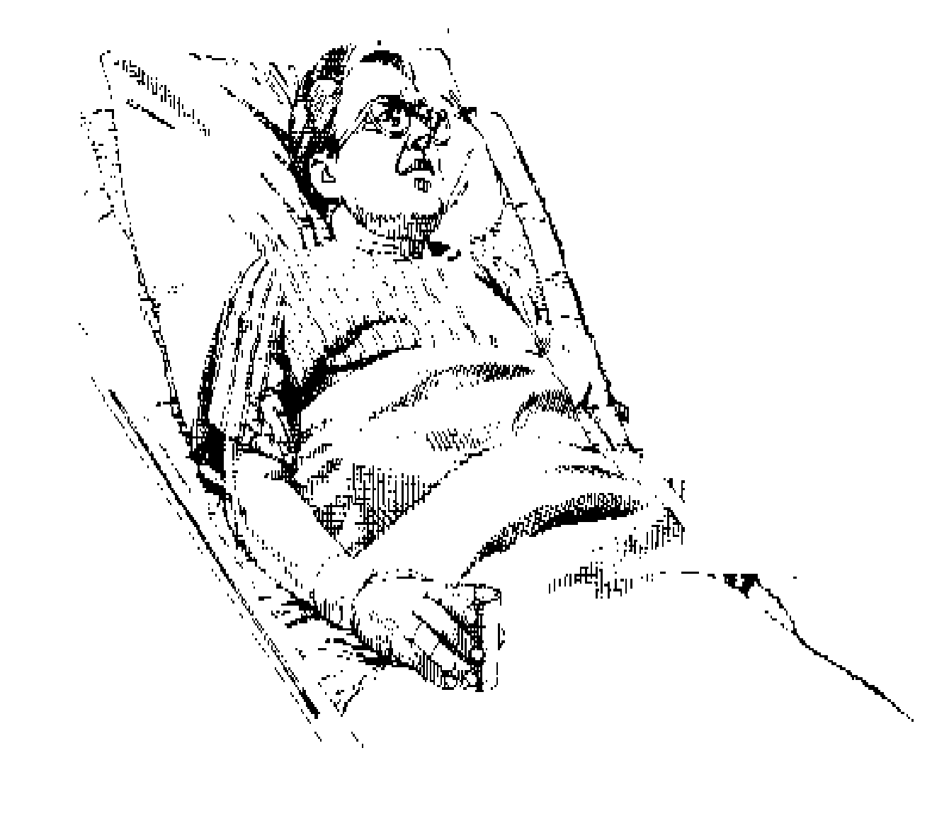 Không kết hôn, không con cái, không anh chị em, mặc dù tự do cả đời nhưng về già sẽ phải làm sao? - Ảnh 1.