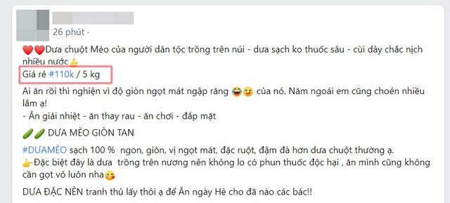 Dưa chuột “siêu to khổng lồ” xuống núi, giá cao vẫn hút khách - Ảnh 5.