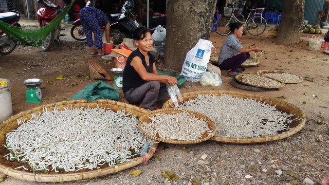 Đặc sản nổi tiếng ở Phú Thọ giá 150 nghìn/kg, ăn có vị bùi, béo ngậy và bổ dưỡng - Ảnh 3.