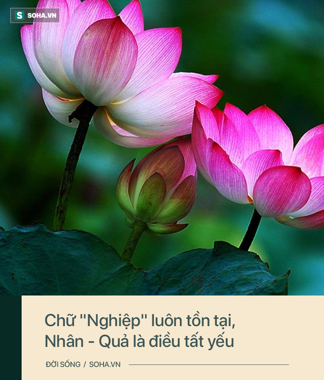  Cho người đứng bên cạnh một ít thức ăn, người đàn ông không ngờ hành động này đã cứu mạng mình - Ảnh 2.