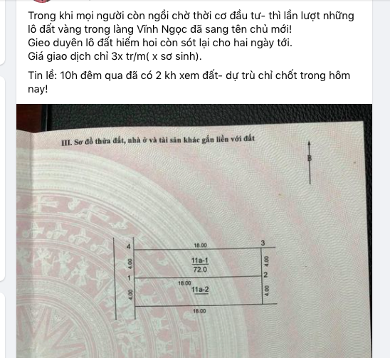 Đất Đông Anh, Hà Nội tăng chóng mặt, nhiều người dân bỏ nghề đi làm “cò đất” - Ảnh 2.