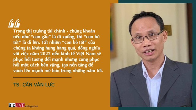 Tăng trưởng 2022: Gấu hay Bò tót - Ảnh 2.