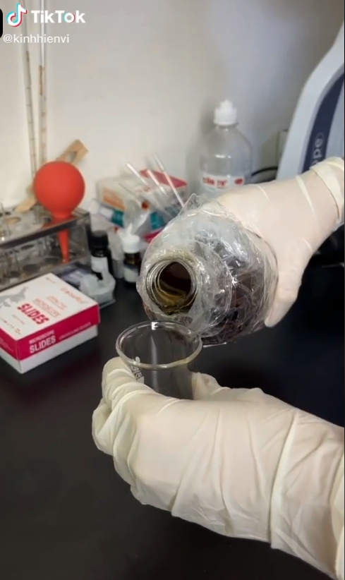 Chuyên gia nói gì về clip sự thật khi soi nước mắm dưới kính hiển vi và 4 lưu ý khi người Việt dùng nước mắm để không ảnh hưởng sức khỏe - Ảnh 1.