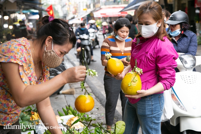 Hàng bưởi Diễn da vàng óng có từng búi hoa tươi trở thành món hàng siêu độc trên chợ nhà giàu Hà Nội, tận 100k/quả, bà chủ thu cả chục triệu mỗi ngày! - Ảnh 7.