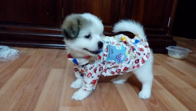 7 bí quyết về tài chính cá nhân mà bất kỳ ai độc thân cũng nên thuộc nằm lòng - Ảnh 5.