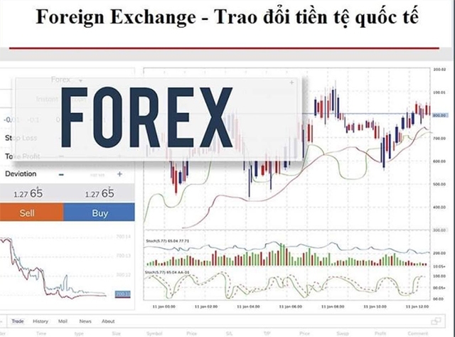 Công an cảnh báo chơi Forex vừa rủi ro vừa vi phạm pháp luật - Ảnh 2.