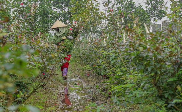 Diện mạo vùng sẽ trở thành thành phố phía Bắc trực thuộc Thủ đô Hà Nội - Ảnh 13.