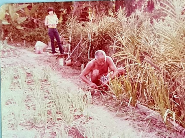 Đẻ con ra có dấu hiệu lạ nên cho người khác, nhiều năm sau mẹ hối hận khôn nguôi - Ảnh 1.