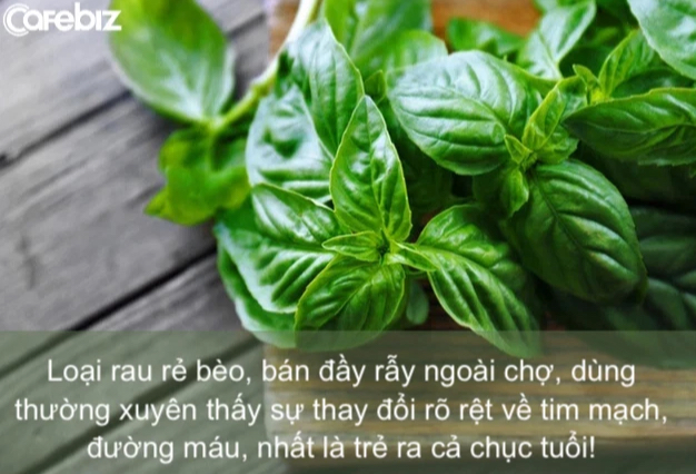 Loại rau rẻ bèo, bán đầy rẫy ngoài chợ, dùng thường xuyên thấy sự thay đổi rõ rệt về tim mạch, đường máu, nhất là trẻ ra cả chục tuổi! - Ảnh 1.