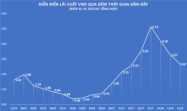 Tiền lớn tạo biến động lãi suất “hình cây thông”, Ngân hàng Nhà nước đỡ nhẹ - Ảnh 2.