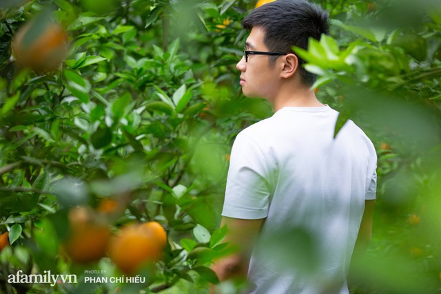 Chàng công tử đất Hà thành bỏ phố lên núi làm chủ 3 quả đồi trồng cam, mỗi năm kiếm cả tỷ bỏ túi nhưng cũng bị vùi dập đến tơi bời - Ảnh 10.