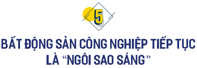 Bất động sản 2021: Năm của những kỷ lục sốt đất, đất đấu giá lập đỉnh cao bậc nhất thế giới - Ảnh 11.