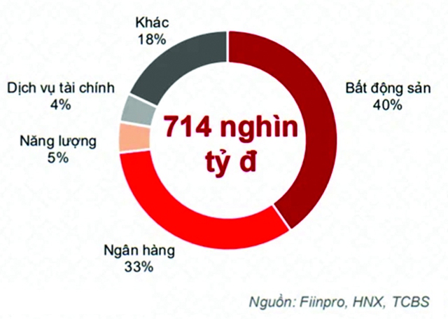 Đa dạng hóa dòng vốn vào bất động sản - Ảnh 2.