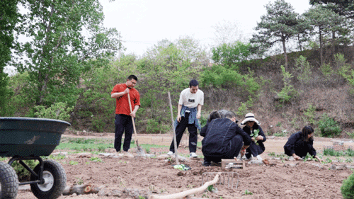 Hội bạn thân đồng loạt từ chức rời thành phố, thuê 1000m² đất ở nông thôn để làm vườn và sống yên bình - Ảnh 5.