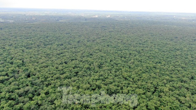 Cận cảnh khu đất hơn 1,8 nghìn ha đang thu hồi làm sân bay Long Thành - Ảnh 1.