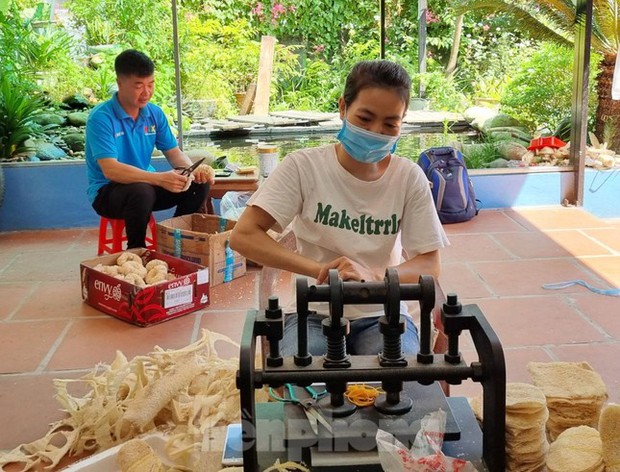  Nghỉ việc ngân hàng lương cao, chàng trai Bắc Ninh biến xơ mướp thành sản phẩm xuất khẩu nghìn đô - Ảnh 9.