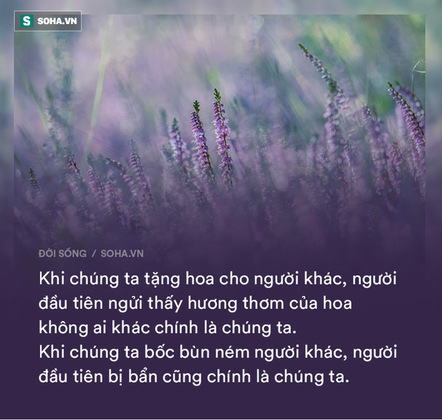  12 lời khuyên từ những người đi trước: Để trưởng thành không đi kèm với sai lầm và thất bại - Ảnh 4.