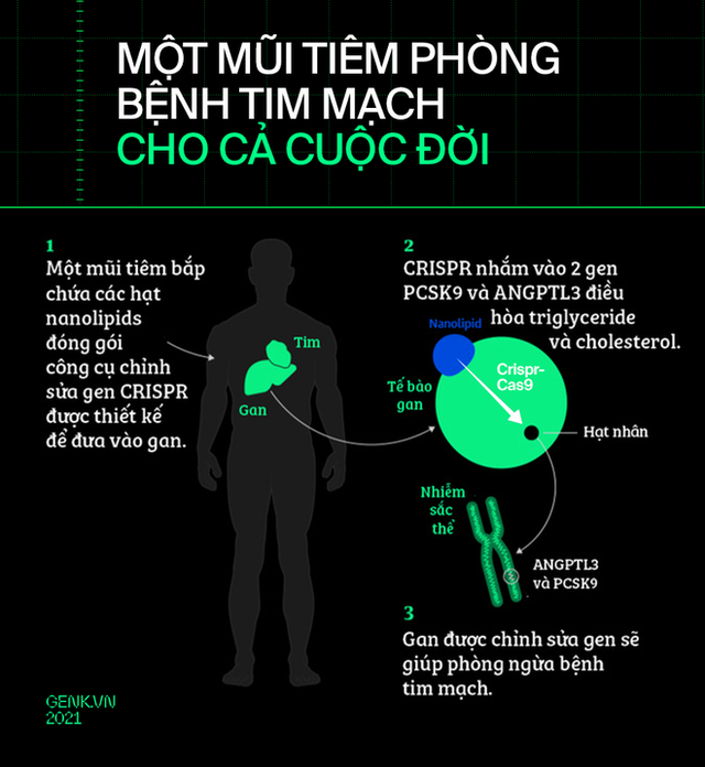 Làm sao để nâng cấp một trái tim? Hãy cấy DNA từ những nhà vô địch Olympic - Ảnh 15.