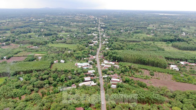 Cận cảnh khu đất hơn 1,8 nghìn ha đang thu hồi làm sân bay Long Thành - Ảnh 9.