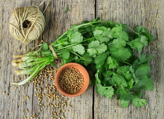 5 loại rau củ tuy khó ăn nhưng rất tốt cho sức khỏe: Vừa giàu vitamin, vừa giảm nguy cơ ung thư, chuyên gia sức khỏe khuyên nên sử dụng mỗi ngày - Ảnh 2.