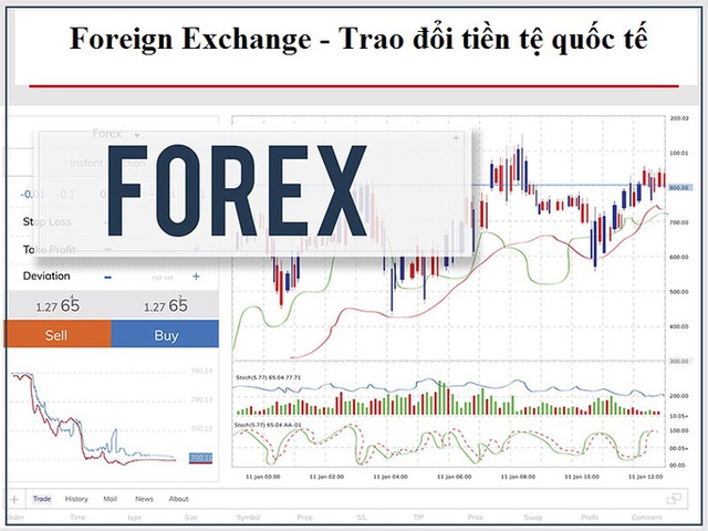  Công an vạch trần hình thức kinh doanh, giao dịch sàn Forex - Ảnh 1.