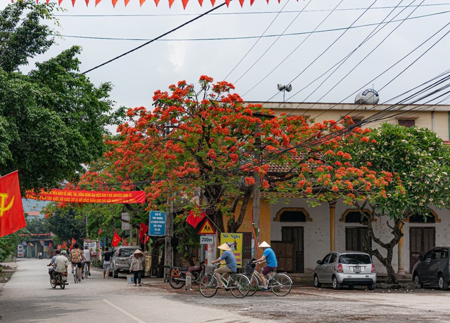 Có một Ninh Bình tràn ngập mỹ cảnh qua lăng kính của nhiếp ảnh gia chuyên nghiệp - Ảnh 11.
