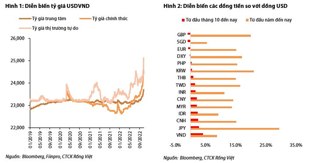 Lo tỷ giá tăng tiếp - Ảnh 1.