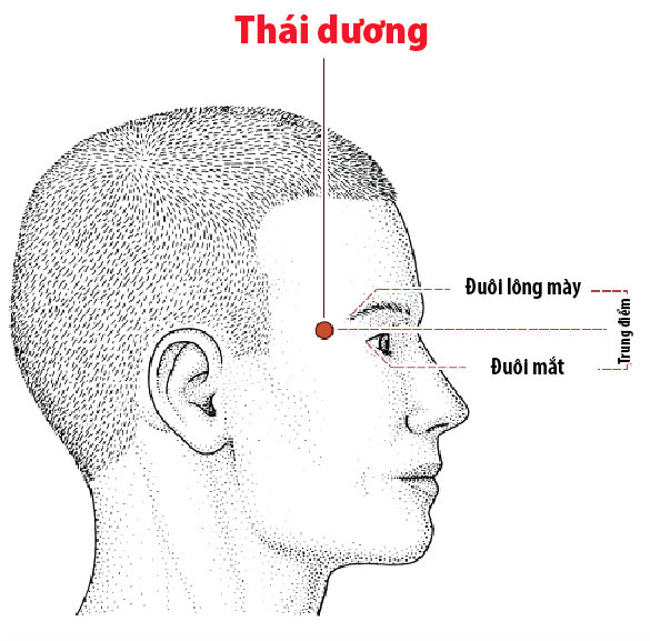 Bệnh sợ gió trong Đông y: Tránh được gió là giảm mắc bệnh, giữ được sức khỏe và tuổi thọ - Ảnh 10.