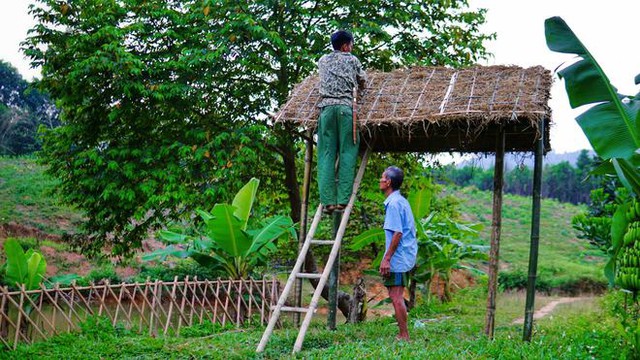 Bỏ việc lương 10 triệu, chàng trai về quê trồng rau, nuôi gà: Bình yên nhưng không dễ dàng - Ảnh 3.