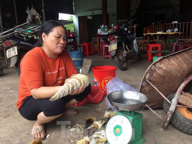 Cận cảnh khu đất hơn 1,8 nghìn ha đang thu hồi làm sân bay Long Thành - Ảnh 22.