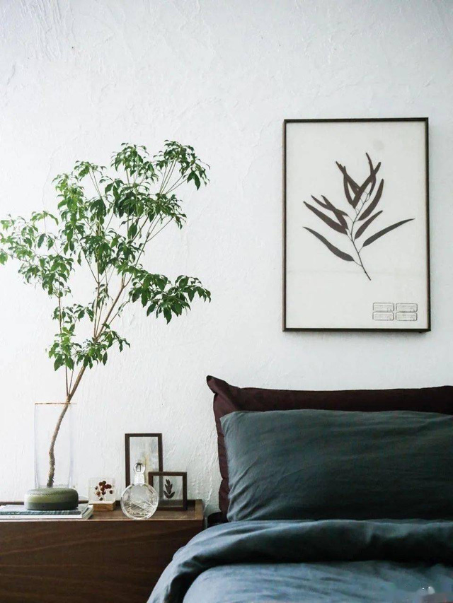 Đôi vợ chồng mới cưới sống ẩn dật trên núi, xây nhà rộng 300m2: Cuộc sống không xã giao, thật tuyệt! - Ảnh 26.