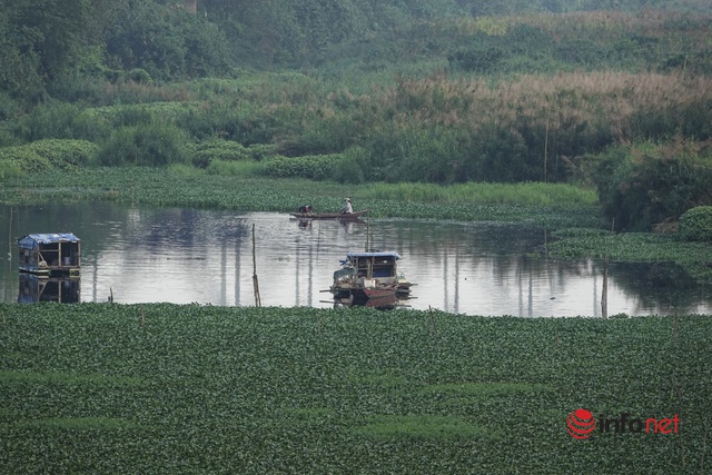 Hà Nội: Toàn cảnh bãi giữa sông Hồng nên thơ được đề xuất cải tạo thành công viên văn hóa - Ảnh 12.