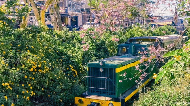 3 con đường tàu với khung cảnh đẹp nhất Việt Nam, xem ảnh mà dân mạng không tin vào mắt mình vì “ảo” y hệt trong phim - Ảnh 21.