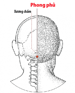 Bệnh sợ gió trong Đông y: Tránh được gió là giảm mắc bệnh, giữ được sức khỏe và tuổi thọ - Ảnh 7.