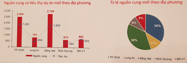 Vùng phụ cận TP HCM ‘chiếm sóng’ thị trường BĐS 2020 - Ảnh 3.