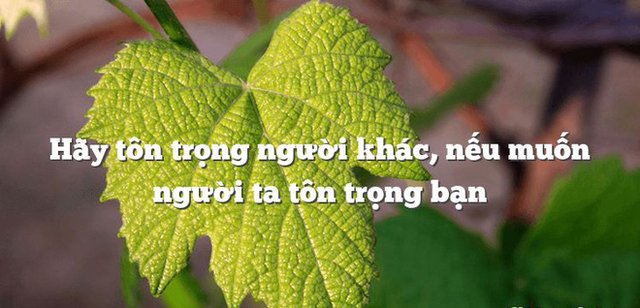 Khinh bỉ người đàn ông hỏi đường nhưng chỉ sau vài câu nói, người quân nhân phải hốt hoảng quỳ lạy đối phương - Ảnh 2.