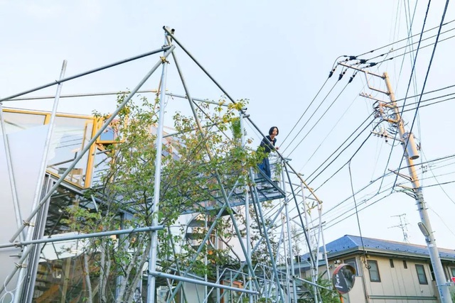 Gia đình ba thế hệ thiết kế ngôi nhà đặc biệt chỉ toàn ánh sáng và cây xanh ở Nhật Bản - Ảnh 30.