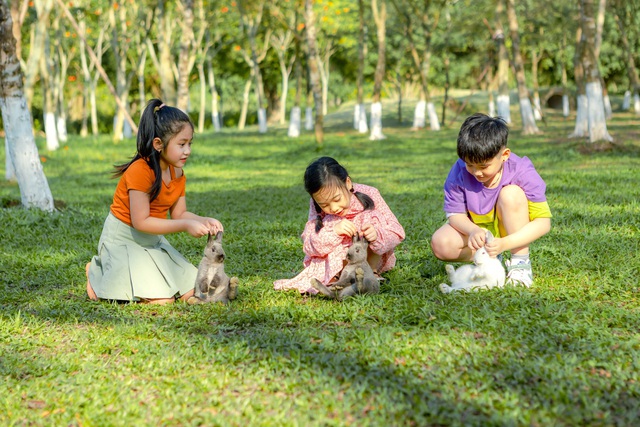 Chim Công, Vịt Trời, Thiên Nga làm tổ trong khu đô thị Ecopark - Ảnh 4.