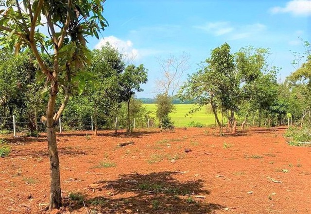 Dựng chòi trên đất ‘view’ ruộng, sông, suối: Tự nhận ‘cháu của cây tùng, cây bách’ - Ảnh 1.