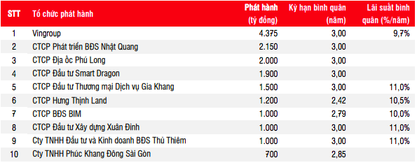 Trái phiếu phát hành giảm mạnh nhưng rủi ro leo thang - Ảnh 1.