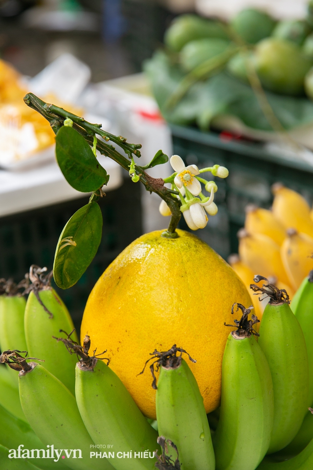 Hàng bưởi Diễn da vàng óng có từng búi hoa tươi trở thành món hàng siêu độc trên chợ nhà giàu Hà Nội, tận 100k/quả, bà chủ thu cả chục triệu mỗi ngày! - Ảnh 6.