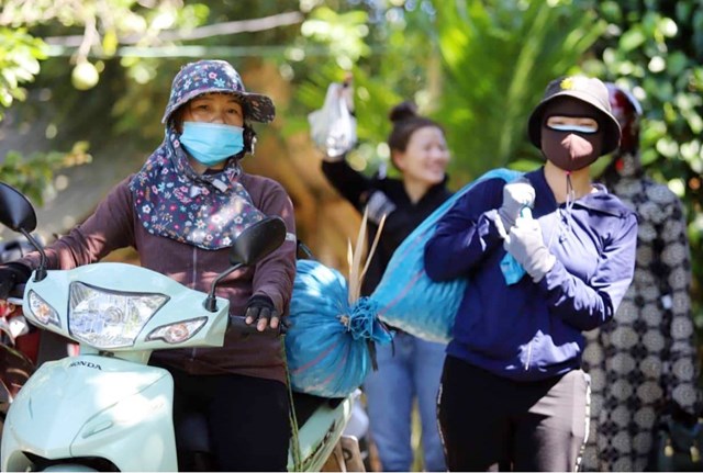 Người dân miền núi Hà Tĩnh kiếm bội tiền nhờ cây có quả đen nhánh - Ảnh 5.