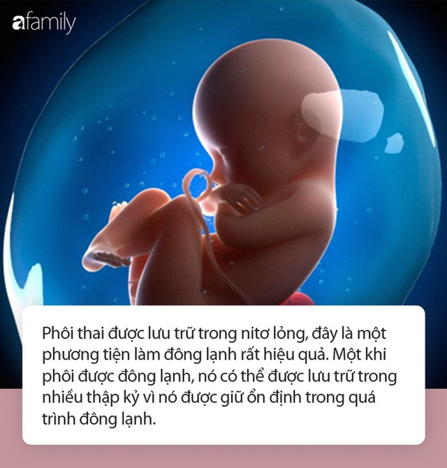 Em bé sinh ra từ phôi đông lạnh 27 tuổi: Giải đáp thắc mắc vạn người muốn biết - Ảnh 2.