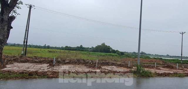  Đồn thổi duyệt quy hoạch, giá đất ven sông Hồng dậy sóng - Ảnh 4.