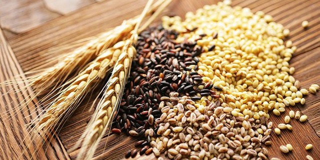 5 loại thực phẩm không dễ ăn nhưng cực có lợi cho sức khỏe: Ăn thường xuyên để chống lão hóa, nâng cao sức khỏe, kéo dài tuổi thọ - Ảnh 1.